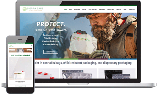 website design for rhinohub client showing both mobile design and desktop design